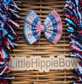 Little Miss America